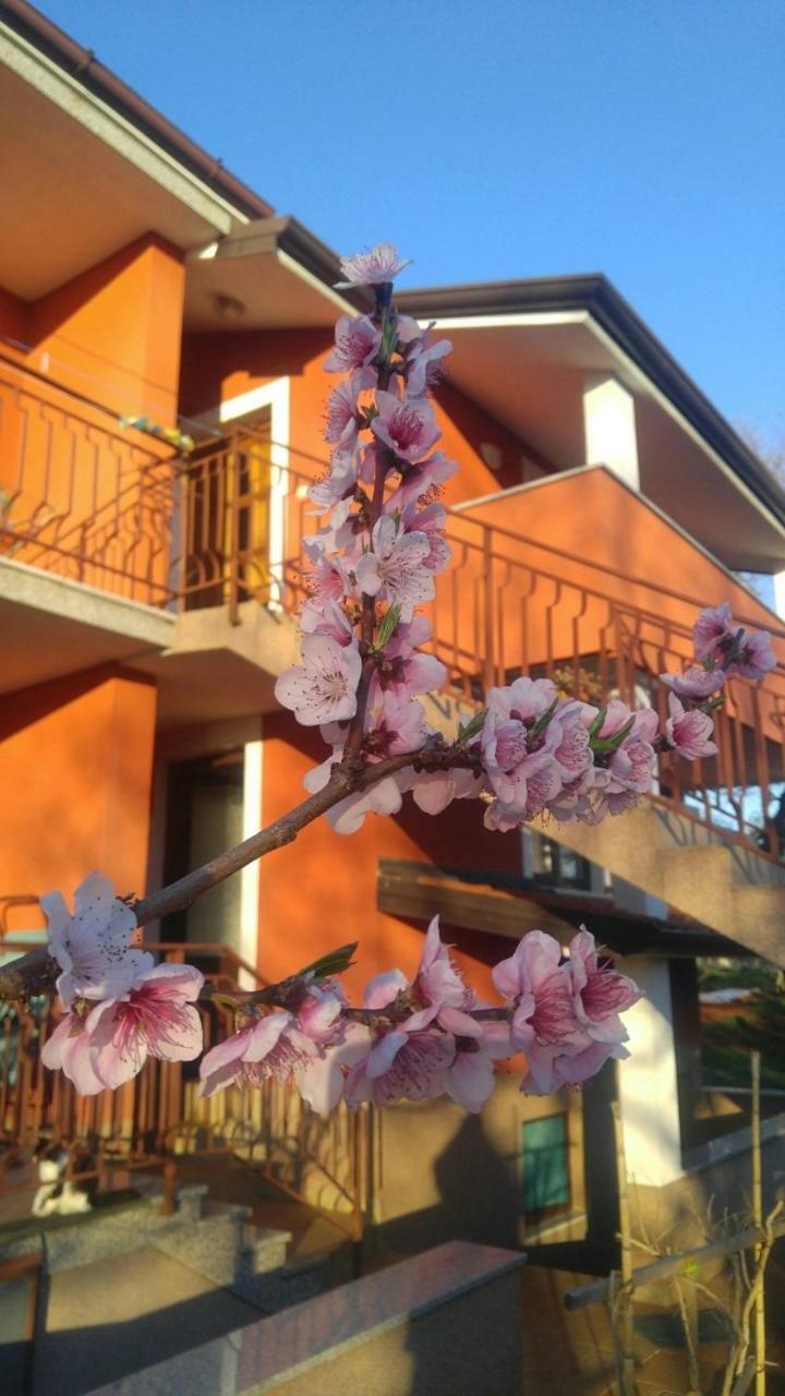 Apartman Zita Umag Exterior foto