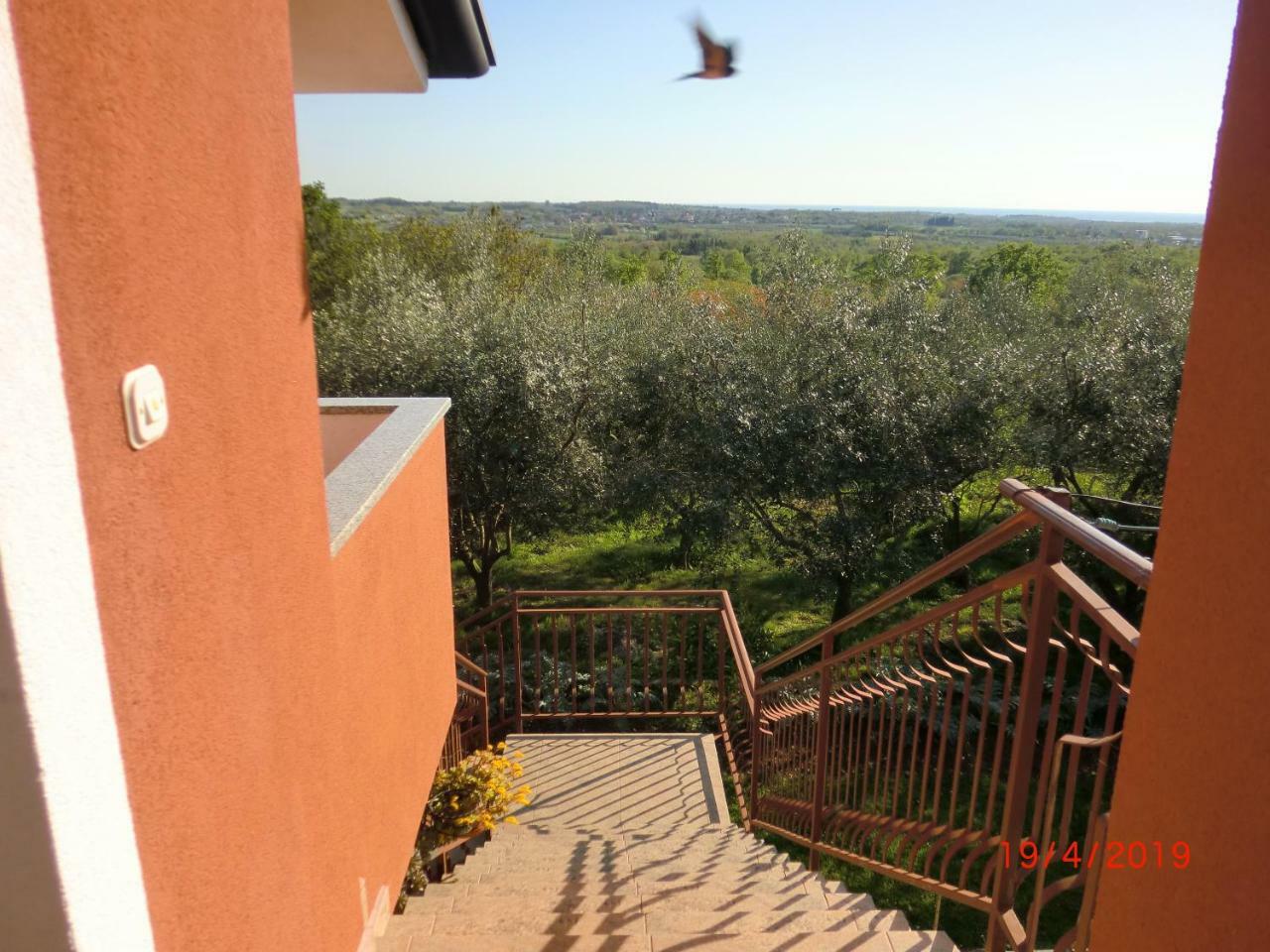 Apartman Zita Umag Exterior foto